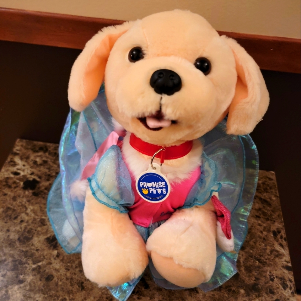 Cute dog